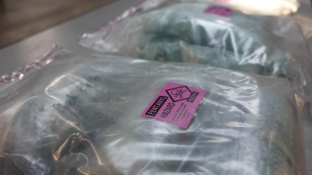 Georgia lawmakers push new fentanyl bill targeting traffickers, not users