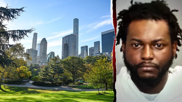 Community Heroes Halt Repeat Offender in Park: Good Samaritans Step Up Months After Release
