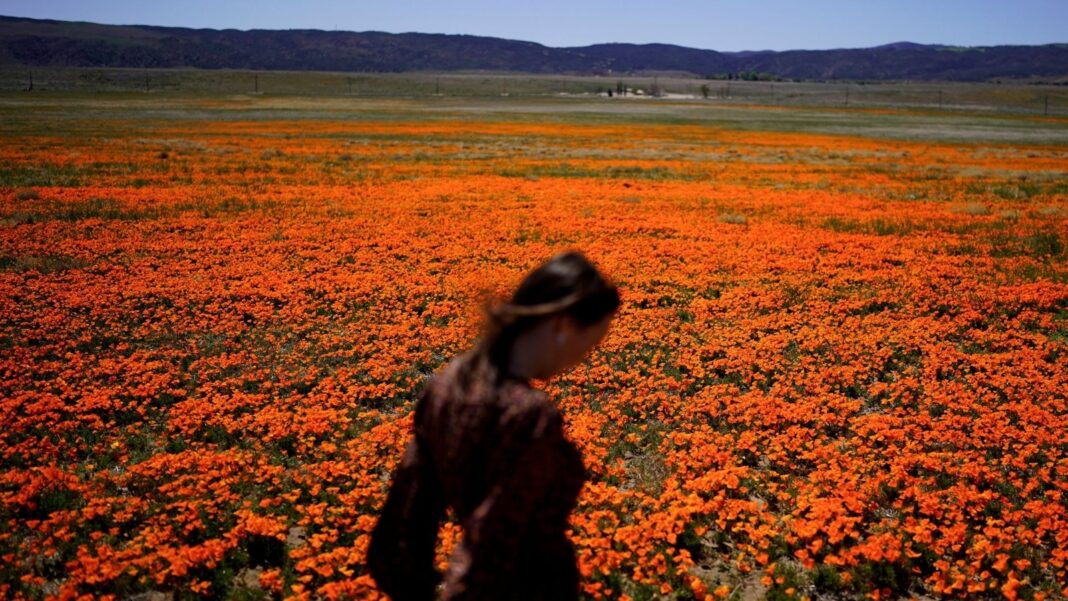 Health alert: Welcome to allergy season. Here's how to protect yourself