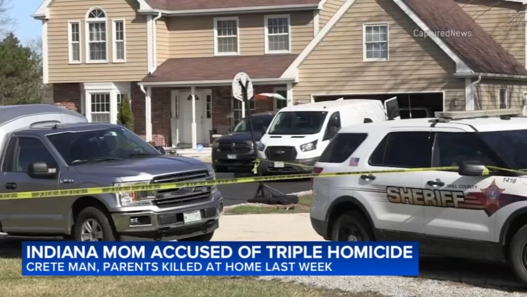 Hearing postponed for Jenna Strouble, woman charged in Crete Township triple homicide; new details revealed in court