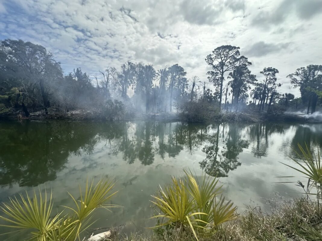 Hernando residents help each other to fight back brush fire