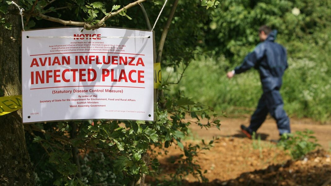 Highway shut down after waste truck carrying dead bird flu ducks crashes in Northern Indiana
