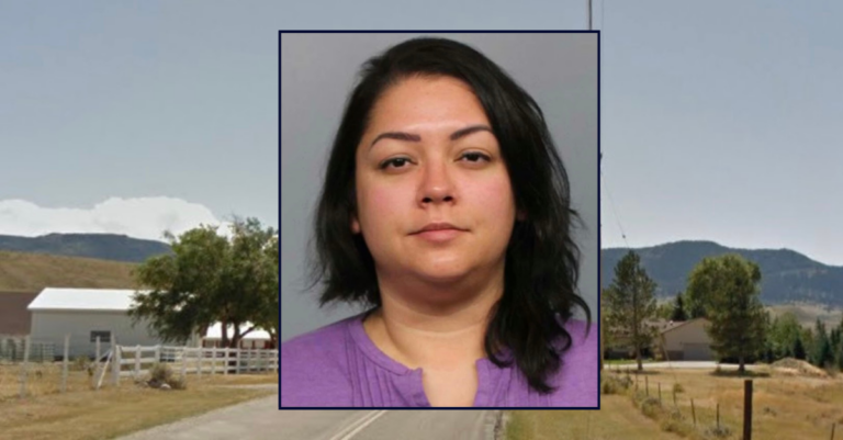Estranged Wife Allegedly Stabs Husband While He Feeds Baby Amid Custody Dispute: Police