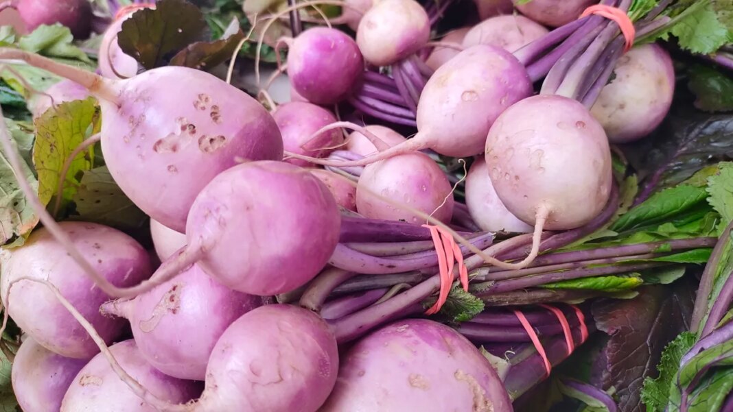 IL offering more than $3 million grant to help local food producers