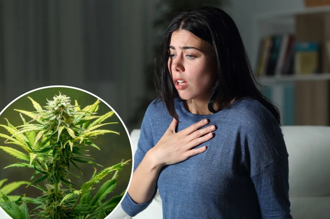 Link between cannabis and anxiety, depression has 'strengthened over time'