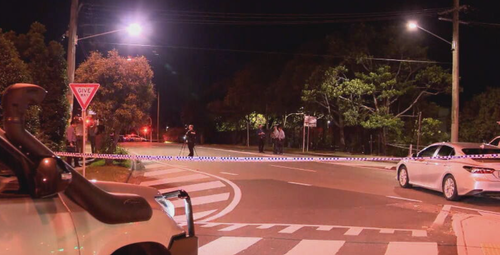 A man allegedly armed with a knife has been seriously injured after being shot by police in Logan.