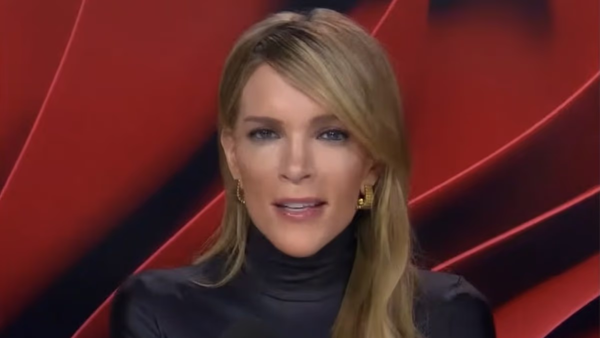 Megyn Kelly launches astonishing attack on her old Fox News stablemate Sean Hannity, claiming all he does is 'puff Trump up'