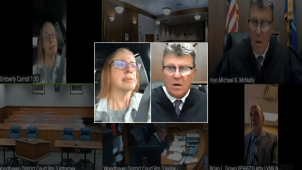 Michigan judge blasts woman for driving during Zoom court hearing: ‘Do you think I'm that stupid?’