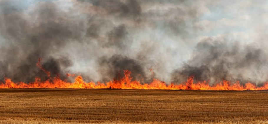 Montgomery Co. EMA director says to ‘stop burning’ amid dry conditions