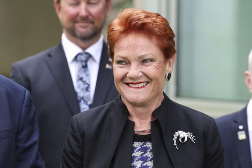 One Nation leader Senator Pauline Hanson during a press conference at Parliament House in Canberra on Monday 19 January 2026. fedpol Photo: Alex Ellinghausen