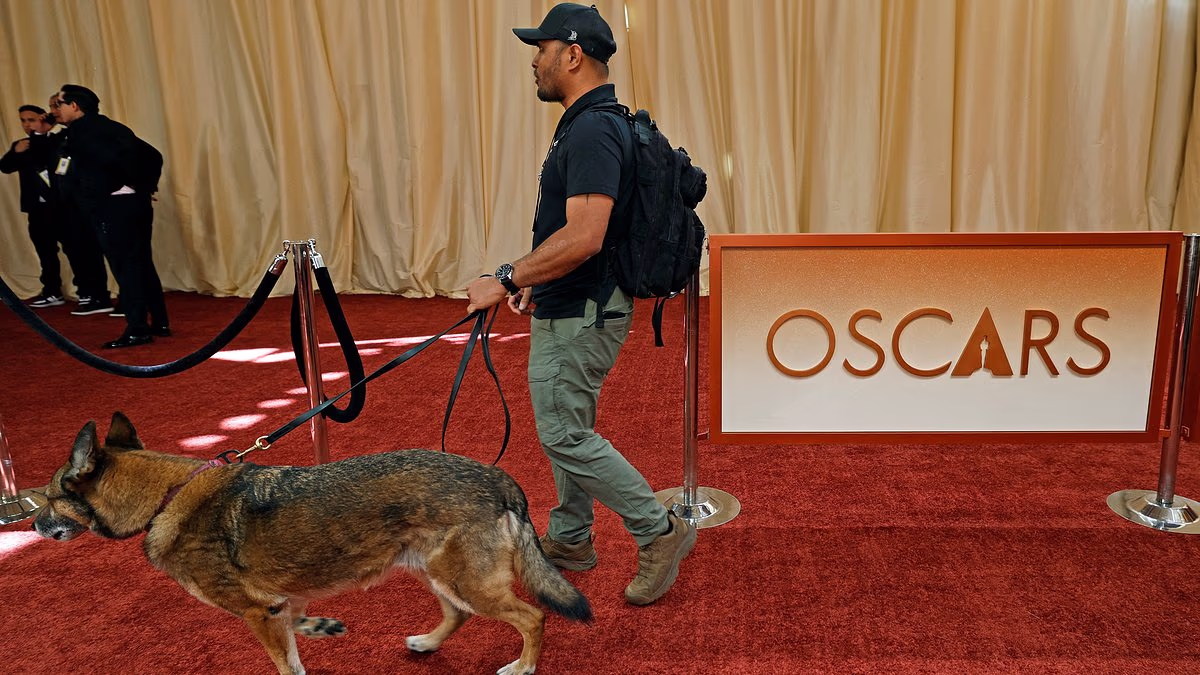 Oscars boosts security amid Iran retaliation threat