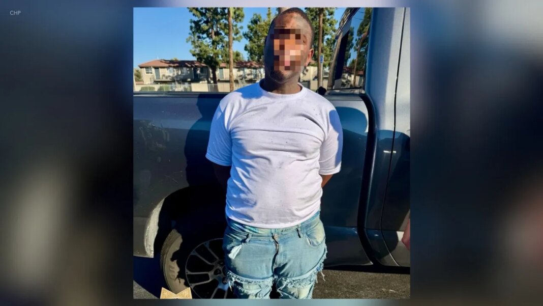 Parolee tried to push pregnant teen from moving car on LA freeway, police say