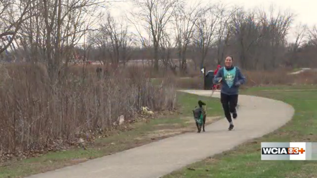 Pups, people race to the finish line in Champaign Park District’s Lucky Dog 5k
