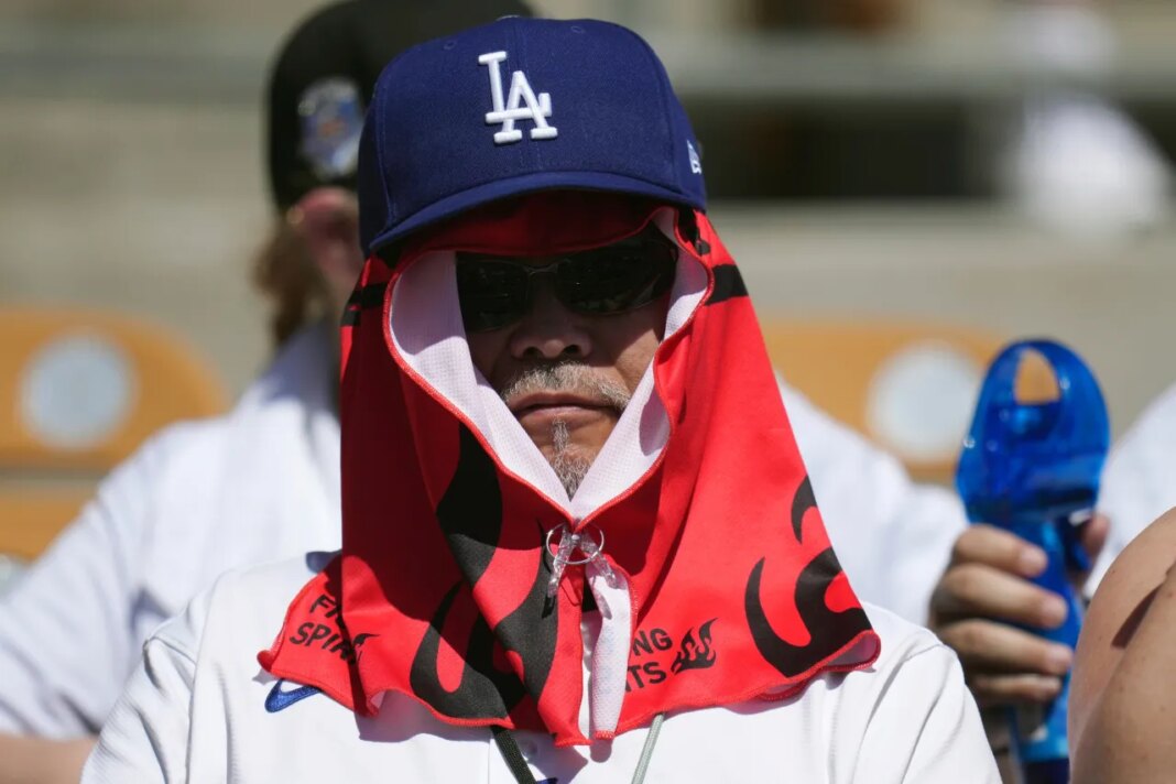 A Los Angeles Dodgers fan covers up from the hot sun during the second inning of a spring training baseball game against the Athletics, Saturday, March 21, 2026, in Phoenix. (AP Photo/Ross D. Franklin)