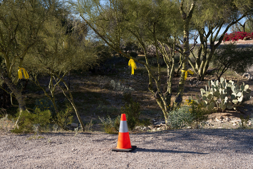 SAVANNAH GUTHRIE MOM MISSING: DAY 35