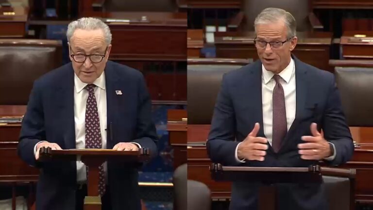 Senate Greenlights Funding for TSA and Homeland Security, Leaves Immigration Enforcement Unfunded