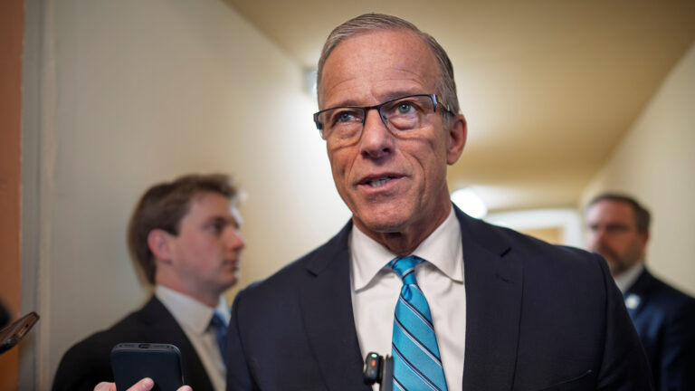 Senate’s Homeland Security Funding Proposal Sidesteps ICE, Aims to Ease Airport Delays