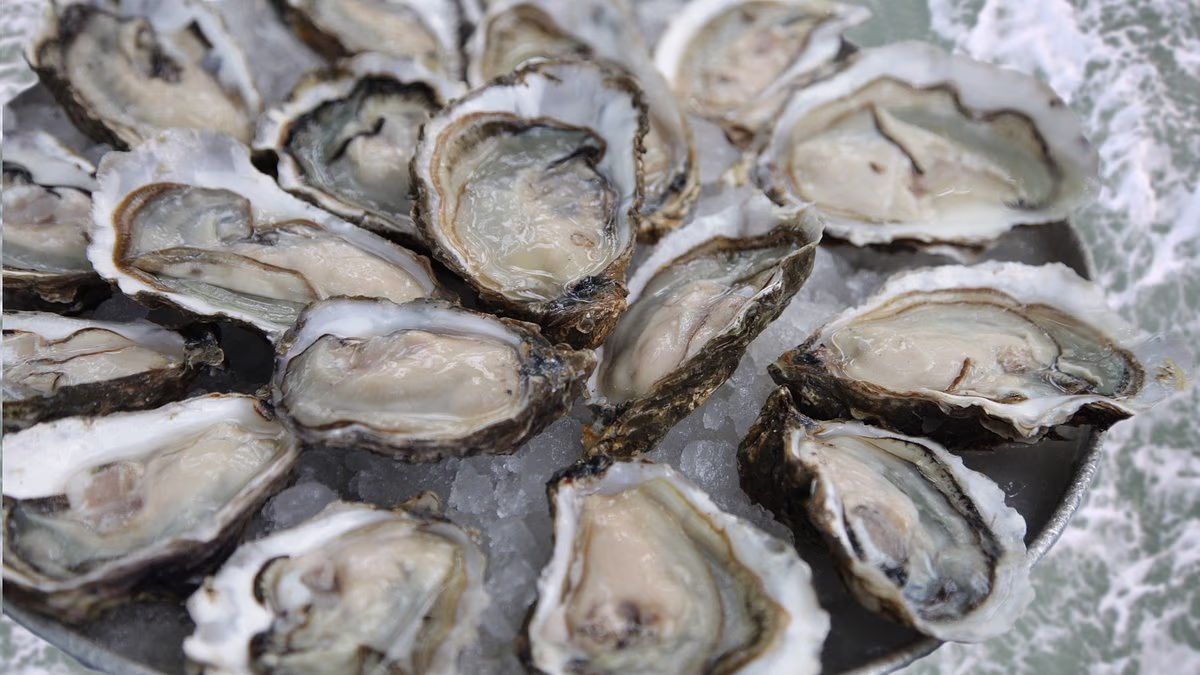Shellfish recall in nine states over fears of norovirus contamination
