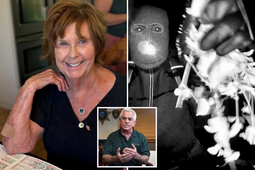 Sheriff leading Nancy Guthrie case thinks he knows why mom was 'targeted' -- warns suspect could strike again