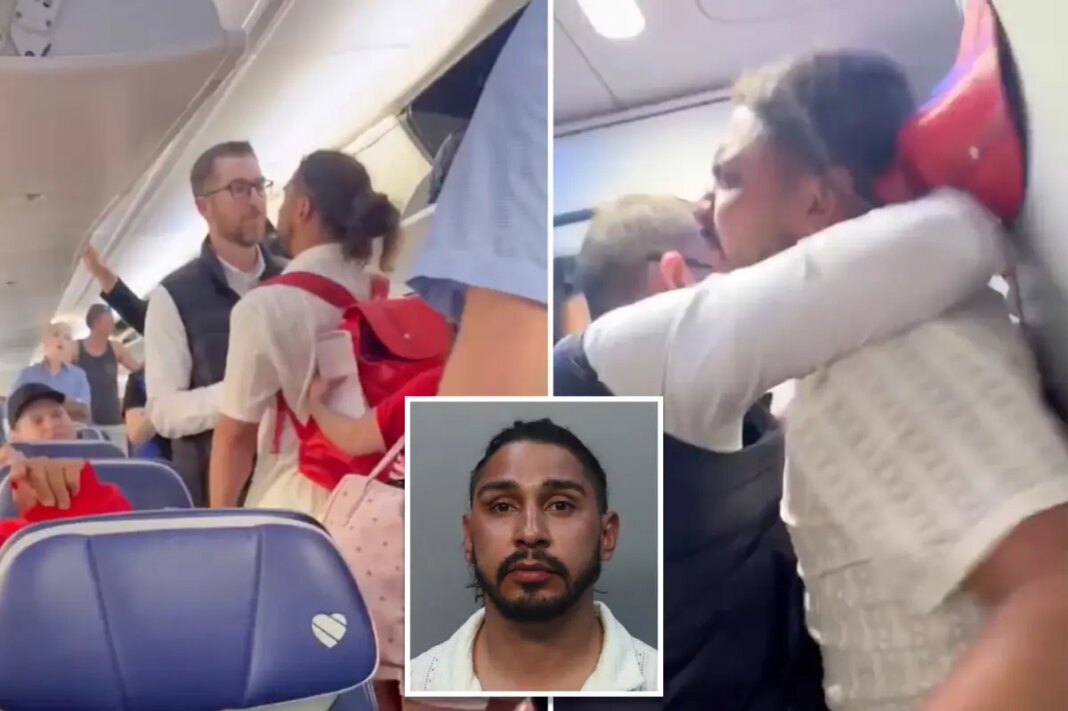 Southwest Airlines passenger arrested after wild brawl with officer on flight: video