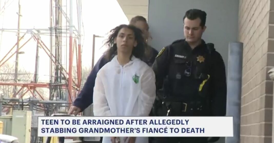 Teen threw boiling oil on his grandma's fiance while he was sleeping on the couch before stabbing him to death: Police