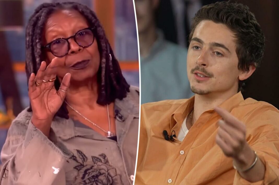 'The View' co-hosts drag 'vapid' Timothée Chalamet after his ballet and opera diss