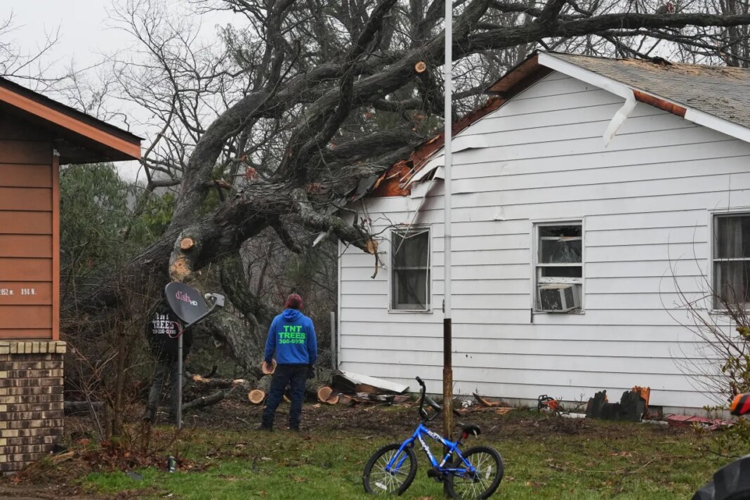 Toppled trees lean against a home in the aftermath of a powerful storm that ripped through the area a day earlier in Lake Village, Ind., Wednesday, March 11, 2026. (AP Photo/Nam Y. Huh)