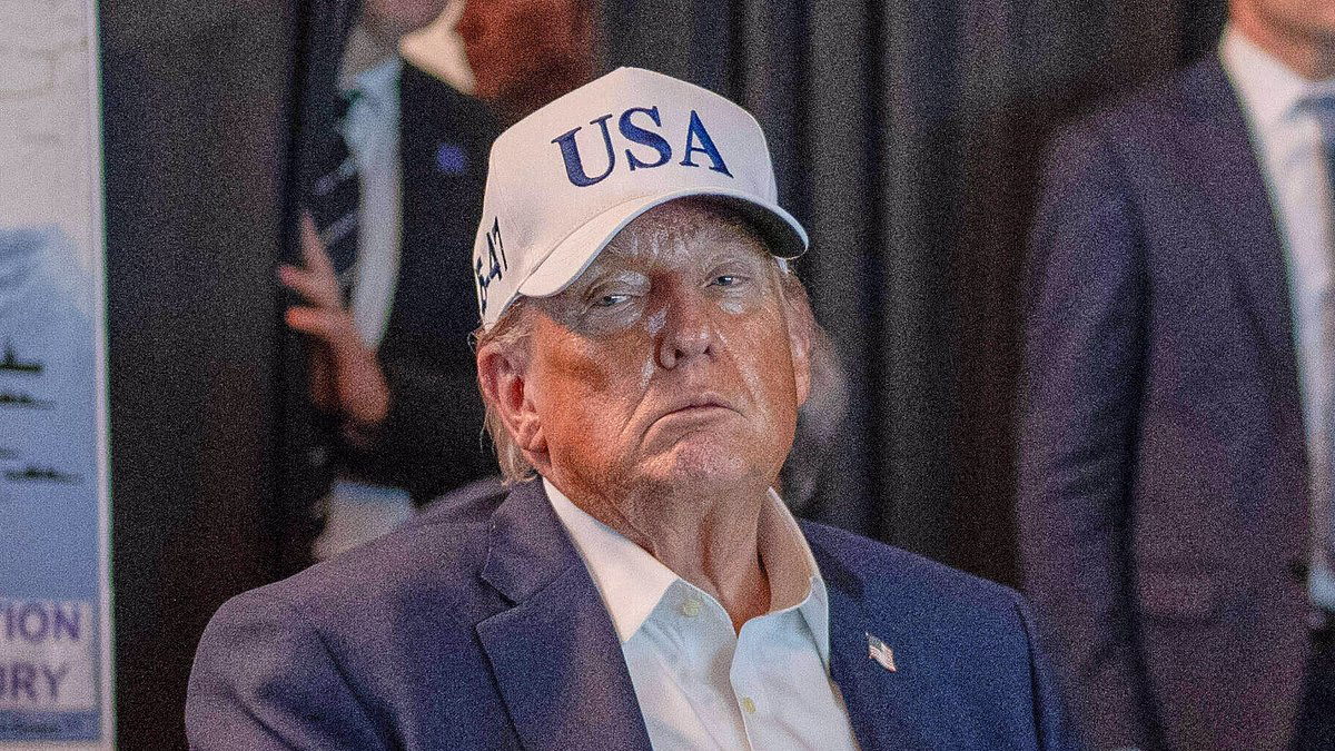 Trump breaks silence on US troops killed  to the Daily Mail