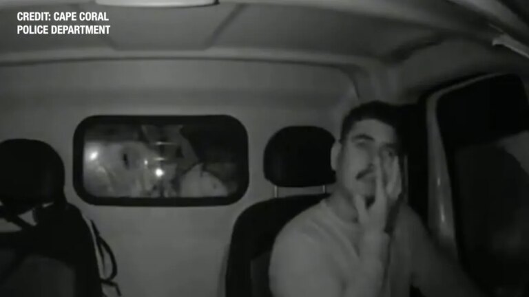 VIDEO: Florida Man Caught Red-Handed in Grand Theft Case, Police Report