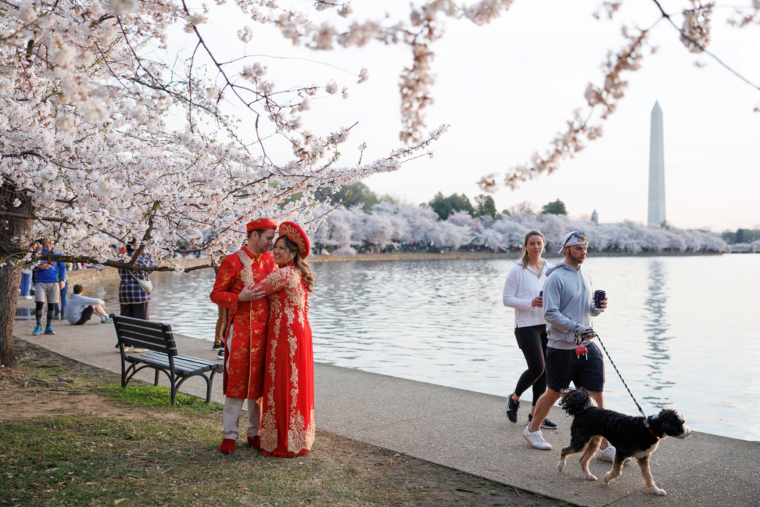 Visitors embrace while standing among the cherry blossom trees along the tidal basin on the National Mall on Thursday, March 26, 2026, in Washington. (AP Photo/Tom Brenner)