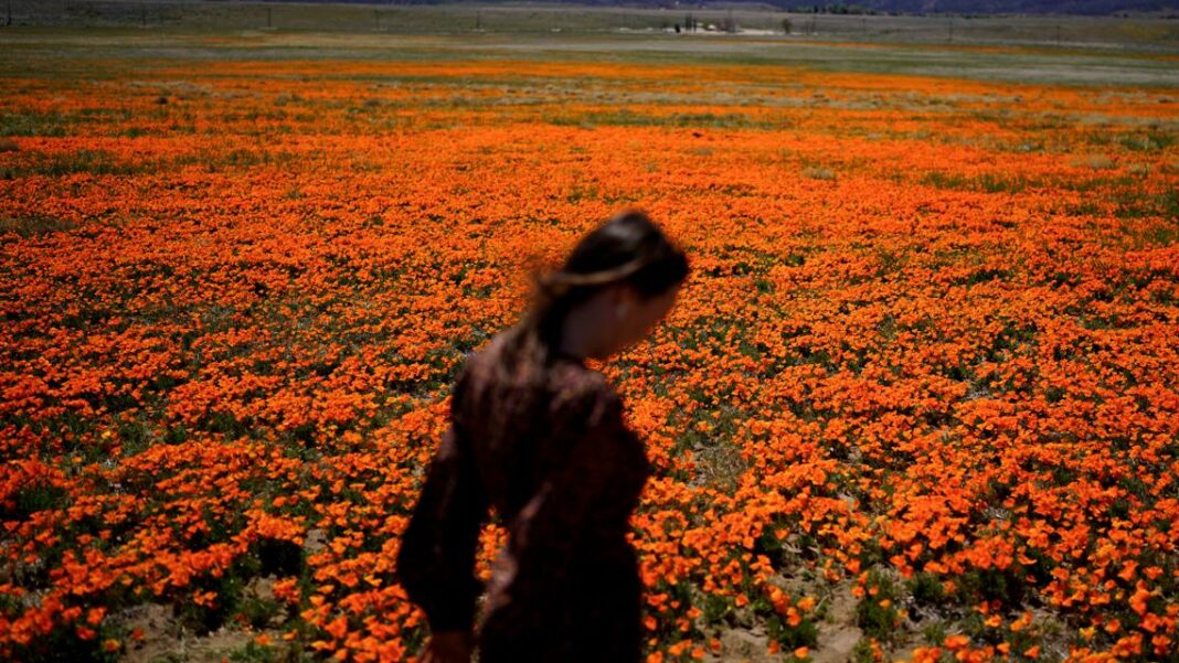 Welcome to allergy season. Here's how to protect yourself