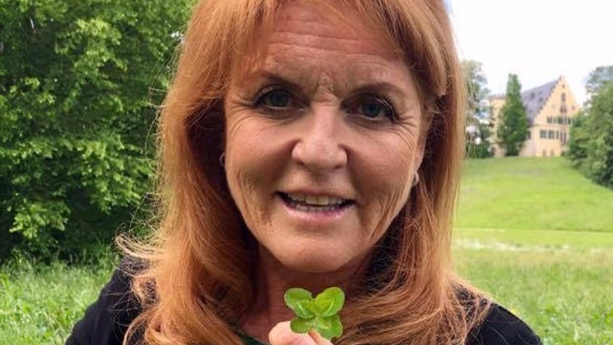 Where's Fergie? From LA guest house to Wiltshire mansion