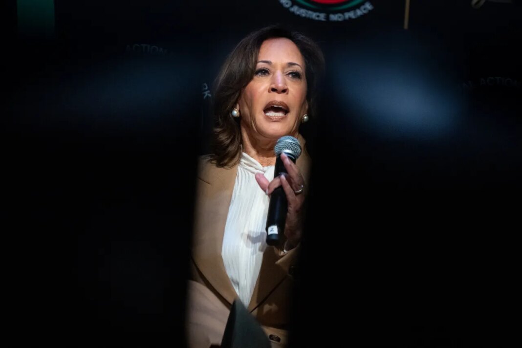 Kamala Harris, former Vice President and 2024 Presidential candidate, speaks during the National Action Network (NAN) Convention in New York, Friday, April 10, 2026. (AP Photo/Angelina Katsanis)