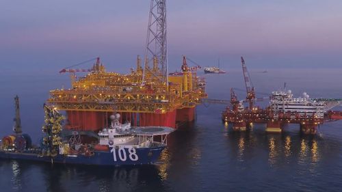 Experts Issue Urgent Warning on Imminent Fuel Crisis: ‘A Matter of Days