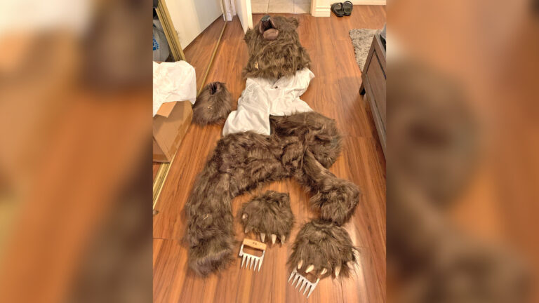 Three Southern Californians Sentenced for Ingenious Bear Costume Insurance Scam