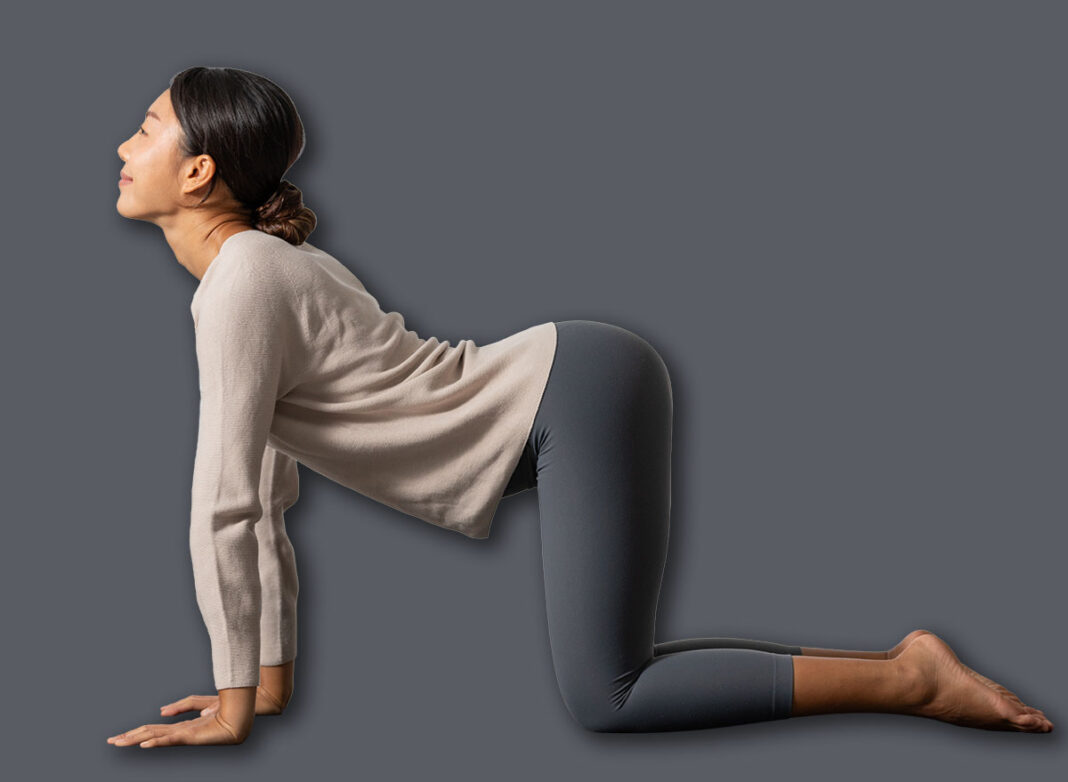 5 Morning Exercises That Restore Shoulder Strength Faster Than Weight Training After 55