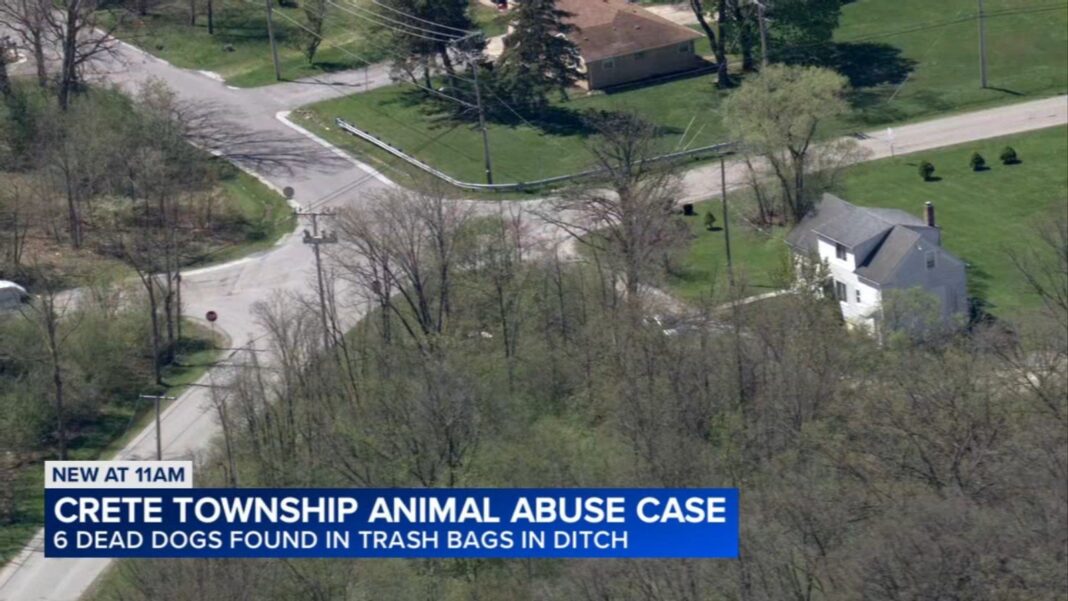 $5K reward offered for information after 6 dogs found dead in Crete Township