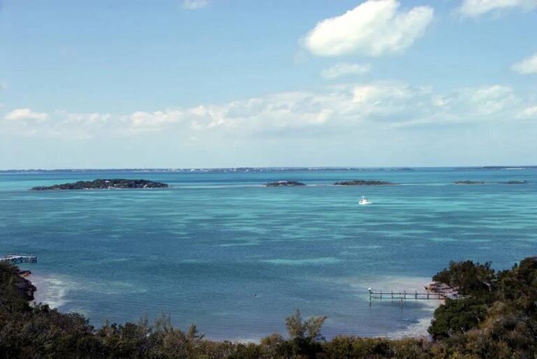 American Woman Reported Missing at Sea After Husband Claims She Fell Overboard in the Bahamas