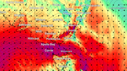Predicted maximum wind gusts 10m above ground level for Australia's south-east at 10am this Friday.