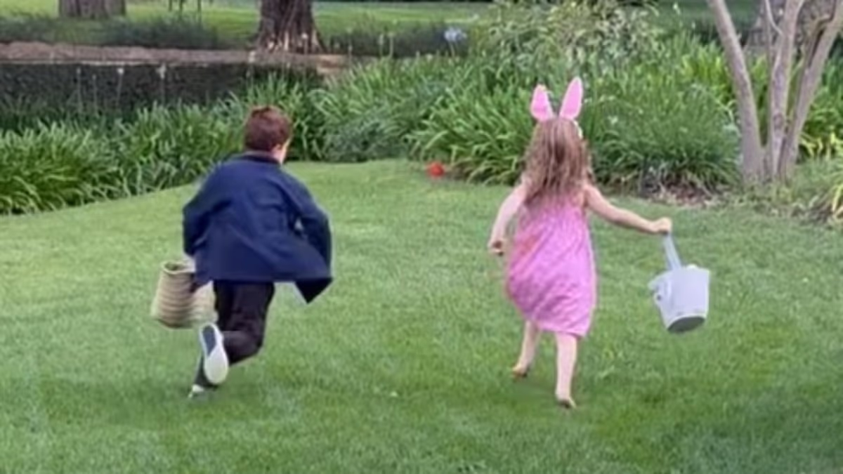 BOSHOFF: These pictures reveal how far the Sussexes' star has fallen