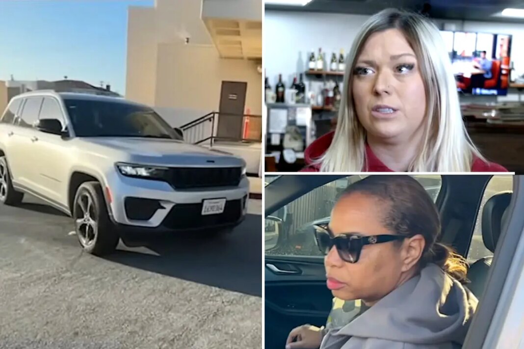 Bay Area police chief’s bizarre excuse for leaving hit-and-run scene