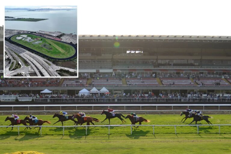 Bay Area Racetrack to Transform into Expansive Public Park Funded by Taxpayers