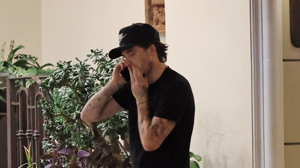 Brooklyn Beckham appears to take a tense phone call in LA