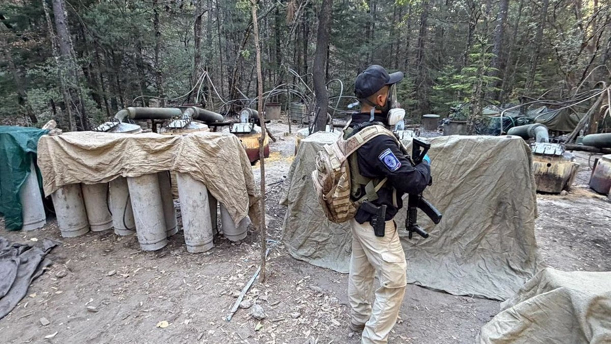 Tragic Loss: CIA Operatives Killed in Mexico Following Historic Drug Seizure