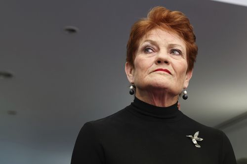 One Nation leader Senator Pauline Hanson during a doorstop interview in the press gallery at Parliament House in Canberra on Wednesday 25 March 2026. fedpol Photo: Alex Ellinghausen