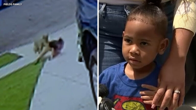 Shocking Footage: Coyote Attacks Child in Carson Driveway – A Must-See Alert for Local Residents