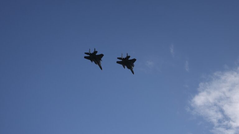 Insights from Former F-15 Pilot, Col. Rob Swertfager, on the Clovis Rodeo Flyover Incident Involving a Detached Jet Canopy
