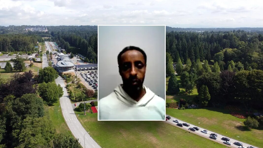 DHS blames ‘weak’ Biden border policies after piracy-linked Somali illegal immigrant nabbed at northern border