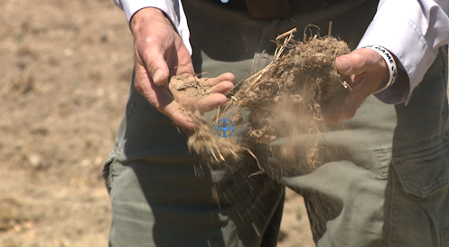 CSRA Farmers Face Challenges as Prolonged Dry Spell Threatens Crops and Livelihoods