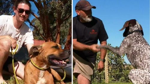 Cody and Finni (left), Rupert and Ben (right)c